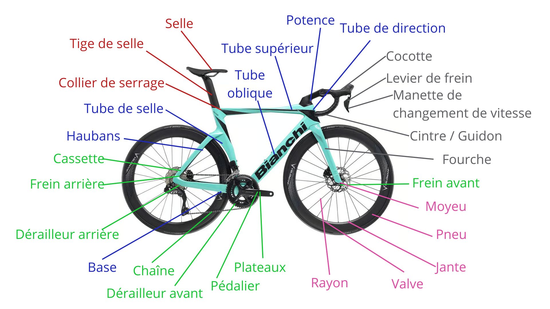 Anatomie vélo